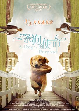 国产精品视频资源