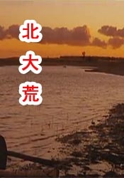 成年人爽片