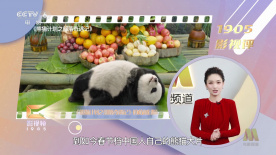一区精品在线
